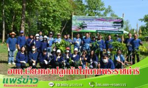 นายกเสรีฯนำคณะผู้บริหารฯ หัวหน้าส่วนราชการ สมาชิกสภาฯ และพนักงาน อบต.เวียงทอง ร่วมปลูกต้นไม้
