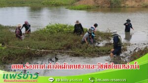 อบต.ร่องกาศ นำจิตอาสาในพื้นที่ตำบลร่องกาศ ร่วมกันดำเนินการกำจัดผักตบชวาและวัชพืชในแหล่งน้ำ เพื่อให้เกิดการปรับปรุงสภาพแหล่งน้ำสาธารณะ