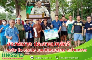 สจ.ทศนาถ ส.อบจ.เขต 3 อ.สูงเม่น ประสานปศุสัตว์จังหวัดแพร่ขอโค-กระบือ มอบให้เกษตรกรที่ยื่นความประสงค์ขอเลี้ยงพื้นที่ตำบลบ้านกวาง