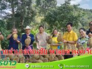 (มีคลิป) นายอำเภอเด่นชัย ลุยสวนทุเรียน บ้านเขาพลึง สู่แหล่งท่องเที่ยวเชิงอนุรักษ์ธรรมชาติ