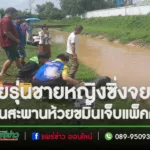 ปก