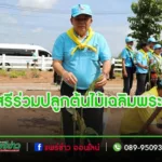 ปก
