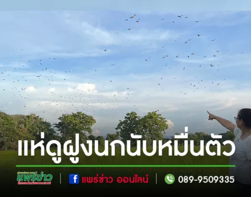 (มีคลิป) แห่ชมฝูงนกนับหมื่นตัวแตกรังสวยงามราวภาพวาดกลางท้องฟ้า