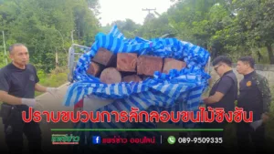 ปราบอย่างไรก็ไม่หมดขบวนการลักลอบขนไม้ชิงชันส่งนายทุน