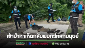 ลุงพงษ์เข้าป่าหาเห็ดโคนกลับพบกะโหลกมนุษย์แทบวิ่งป่าราบ