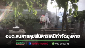 ด้วยความห่วงใย นายกบุษบา สั่งลุยพ่นสารเคมีกำจัดตัวแก่ยุงลายป้องกันไข้เลือดออกในชุมชน