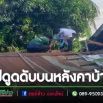 ปก-6
