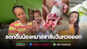 (มีคลิป)ชาวบ้านถิ่นแตกตื่นสุนัขออกลูก 6 ขา รับวันหวยออกเชื่อมาให้โชค
