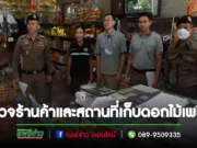 เทศบาลเมืองแพร่ ร่วมกับอำเภอเมืองแพร่ และสถานีตำรวจภูธรอำเภอเมืองแพร่ ลงพื้นที่ออกตรวจร้านค้าและสถานที่เก็บดอกไม้เพลิง