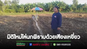 (มีคลิป)มิติใหม่ไล่นกพิราบรบกวนกินเมล็ดพันธุ์พืชเปิดเสียงร้องเหยี่ยวใส่ลำโพงไล่ได้ผลดีเกิน 100%