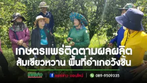 เกษตรแพร่ ลงพื้นที่ติดตามสถานการณ์การผลิตส้มเขียวหวาน ในพื้นที่อำเภอวังชิ้น