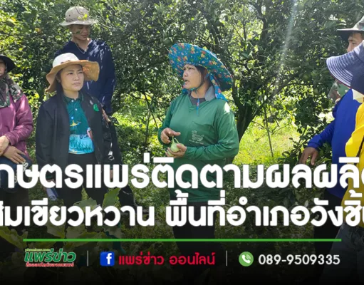เกษตรแพร่ ลงพื้นที่ติดตามสถานการณ์การผลิตส้มเขียวหวาน ในพื้นที่อำเภอวังชิ้น