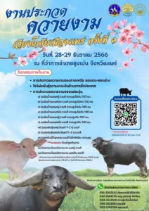 ครั้งแรกของอ.สูงเม่นจัดประกวดควายงามชิงแชมป์ภาคเหนือในงานตามรอยพระยุคลบาทรวมพลังสามัคคีของดีสูงเม่นประจำปี 2566