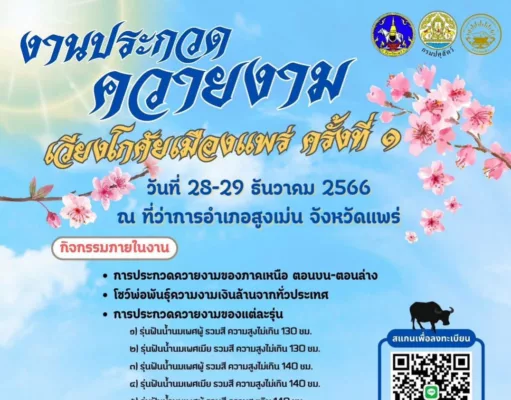 ครั้งแรกของอ.สูงเม่นจัดประกวดควายงามชิงแชมป์ภาคเหนือในงานตามรอยพระยุคลบาทรวมพลังสามัคคีของดีสูงเม่นประจำปี 2566