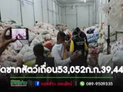 (มีคลิป)ปศุสัตว์เขต 6 พิษณุโลกอายัดซากสัตว์เถื่อน 53,052 กิโลฯ39,445 ชิ้น ในห้องเย็นไม่ขึ้นทะเบียนกับกรมปศุสัตว์