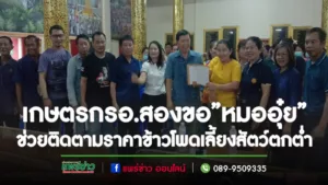 เกษตรกร อ.สองขอนพ.นิยม วิวรรธนดิฐกุล(หมออุ๋ย)ช่วยติดตามราคาข้าวโพดเลี้ยงสัตว์ตกต่ำ