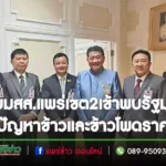 ปก-39