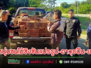 บูรณาการหลายฝ่ายจับหนุ่มขนไม้ชิงชันแปรรูปพร้อมอาวุธปืนและยาบ้า