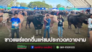 (มีคลิป)อ.สูงเม่นสร้างประวัติศาสตร์ครั้งแรก จัดประกวดควายงาม ชาวบ้านแตกตื่นแห่ชมควายราคา 50 ล้าน