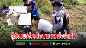 (มีคลิป)อาสาสมัครกู้ภัยแพร่ช่วยเหลือน้องหมาตกบ่อน้ำเก่าลึกเกือบ 10 เมตร
