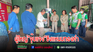 อ.สูงเม่น ส่งผู้ใหญ่”จุ๊บแจง”นางกัญญานันท์ ชินสว่างวัฒนกุล ผู้ใหญ่บ้านหมู่ที่ 2 ตำบลสูงเม่น ชิงผู้ใหญ่บ้านแหนบทองคำ