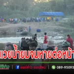 ปก-97