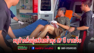 (มีคลิป)หมูป่าคลั่งพุ่งขวิดขย้ำลุง 67 ปีต้องใช้มือปัดป้อง เพราะมันจ้องจะกัดลำคอ จนมือทั้ง 2 ข้างบาดเจ็บ ขาก็ถูกขวิด บาดเจ็บ