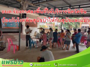 อบต.ร่องกาศลงพื้นที่ให้บริการฉีดวัคซีน ป้องกันโรคพิษสุนัขบ้าให้กับสุนัขและแมว
