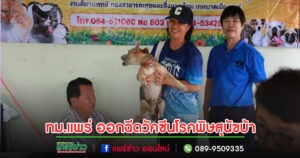 เทศบาลเมืองแพร่ ลงพื้นที่ให้บริการฉีดวัคซีนโรคพิษสุนัขบ้าแก่ชุมชนเพชรรัตน์
