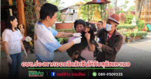 อบต.ร่องกาศห่วงสัตว์เลี้ยงออกฉีดวัคซีนป้องกันโรคพิษสุนัขบ้าให้กับสุนัขและแมว