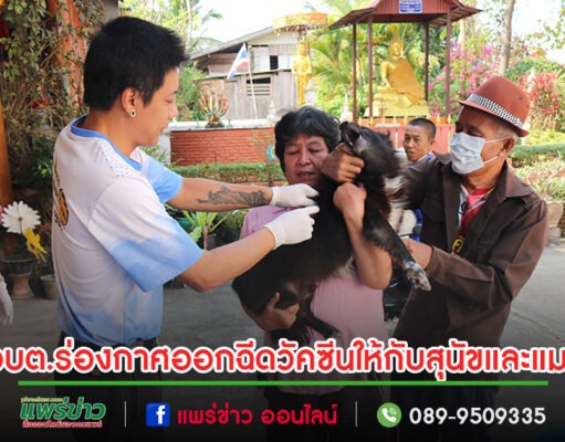 อบต.ร่องกาศห่วงสัตว์เลี้ยงออกฉีดวัคซีนป้องกันโรคพิษสุนัขบ้าให้กับสุนัขและแมว