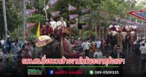 (มีคลิป)ประชาชนหลั่งไหลร่วมงานประเพณีไหว้พระธาตุช่อแฮฯจัดยิ่งใหญ่ รมว.สธ.ประธานนั่งขบวนช้าง