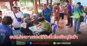 อบต.ร่องกาศออกให้วัคซีนป้องกันโรคพิษสุนัขบ้าให้กับสุนัขและแมว