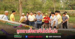 พี่น้องชาวไทยเชื้อสายจีน ร่วมทำพิธีไหว้เช็งเม้ง ตามประเพณีอันดีงาม