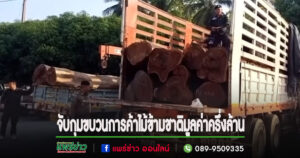 (มีคลิป)จับกุมขบวนการค้าไม้ข้ามชาติตัดจากป่าใส่รถ 10 ล้อเตรียมส่งนายทุนมูลค่าครึ่งล้าน
