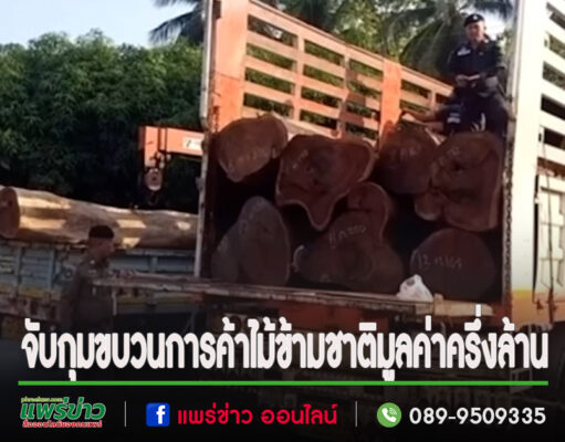(มีคลิป)จับกุมขบวนการค้าไม้ข้ามชาติตัดจากป่าใส่รถ 10 ล้อเตรียมส่งนายทุนมูลค่าครึ่งล้าน