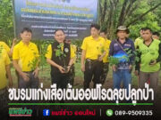 (มีคลิป) ชมรมแก่งเสือเต้นออฟโรดร่วมกับส่วนอนุรักษ์พันธ์สัตว์ป่า ลุยปลูกป่า แหล่งต้นน้ำเขตรักษาพันธุ์สัตว์ป่าลำน้ำน่านฝั่งขวา จ.แพร่-จ.อุตรดิตถ์ เพื่อป่าต้นไม้