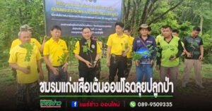 (มีคลิป) ชมรมแก่งเสือเต้นออฟโรดร่วมกับส่วนอนุรักษ์พันธ์สัตว์ป่า ลุยปลูกป่า แหล่งต้นน้ำเขตรักษาพันธุ์สัตว์ป่าลำน้ำน่านฝั่งขวา จ.แพร่-จ.อุตรดิตถ์ เพื่อป่าต้นไม้