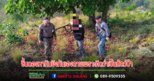 ลูกพี่ลูกน้องขึ้นดอยหากินยิงกันเองตายเพราะคิดว่าเป็นสัตว์ป่า