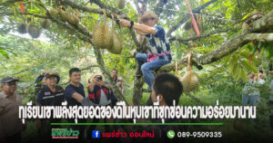 (มีคลิป)ทุเรียนเขาพลึงสุดยอดของดีในหุบเขาที่ซุกซ่อนความอร่อยมานาน
