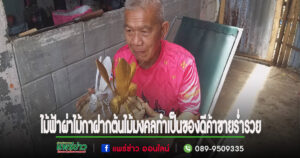 (มีคลิป)ของมงคลที่ทำจากไม้ฟ้าผ่าและไม้กาฝากต้นไม้ชื่อมงคล ซึ่งมีความขลังและเมตตามหานิยมทำมาค้าขายร่ำรวย