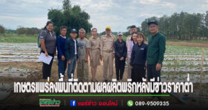 เกษตรแพร่ ลงพื้นที่ติดตามสถานการณ์การผลิตพริก ในอำเภอหนองม่วงไข่ หลังมีการเสนอข่าวราคาตกแนะเกษตรกรรายเดี่ยวเข้ารวมกลุ่มแปลงใหญ่จะขายได้ราคาดี