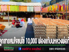 ขอลูกชายได้สมใจขนไข่ 10,000 ฟองแก้บนหลวงพ่อทันใจวัดพระธาตุช่อแฮฯจ.แพร่