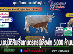 สส.วรวัจน์ฯ เผยข่าวดี เกษตรกรผู้เลี้ยงโค ครม.อนุมัติสินเชื่อ 5,000 ล้านบาท ให้กู้