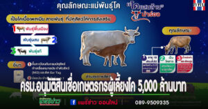 สส.วรวัจน์ฯ เผยข่าวดี เกษตรกรผู้เลี้ยงโค ครม.อนุมัติสินเชื่อ 5,000 ล้านบาท ให้กู้