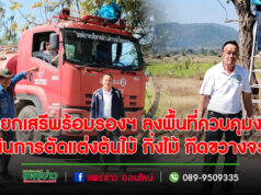 นายกเสรีพร้อมรองฯ ลงพื้นที่ควบคุมงานตัดแต่งต้นไม้ กิ่งไม้ ที่กีดขว้างทางจราจร