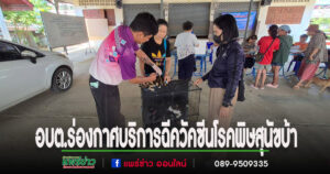 นายกสมคิดมอบหมายกองสาธารณสุขให้บริการฉีควัคซีนโรคพิษสุนัขบ้าตามโครงการสัตว์ปลอดโรค คนปลอดภัยจากโรคพิษสุนัขบ้า