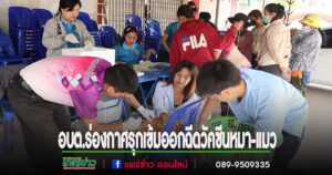 รุกเข้ม!นายกสมคิดห่วงความปลอดภัยจากโรคพิษสุนัขบ้ามอบหมายให้กองสาธารณสุขออกฉีดวัคซีนป้องกันทุกหมู่บ้าน