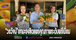 “วรวัจน์”ยกมะยงชิดจ.แพร่มีคุณภาพหอมหวานระดับพรีเมี่ยมขายผ่านผู้ซื้อโดยตรงได้ราคาดี