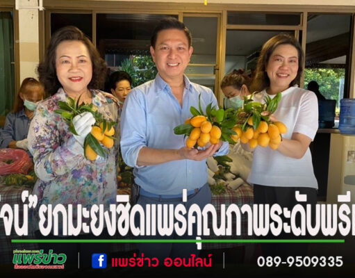 “วรวัจน์”ยกมะยงชิดจ.แพร่มีคุณภาพหอมหวานระดับพรีเมี่ยมขายผ่านผู้ซื้อโดยตรงได้ราคาดี